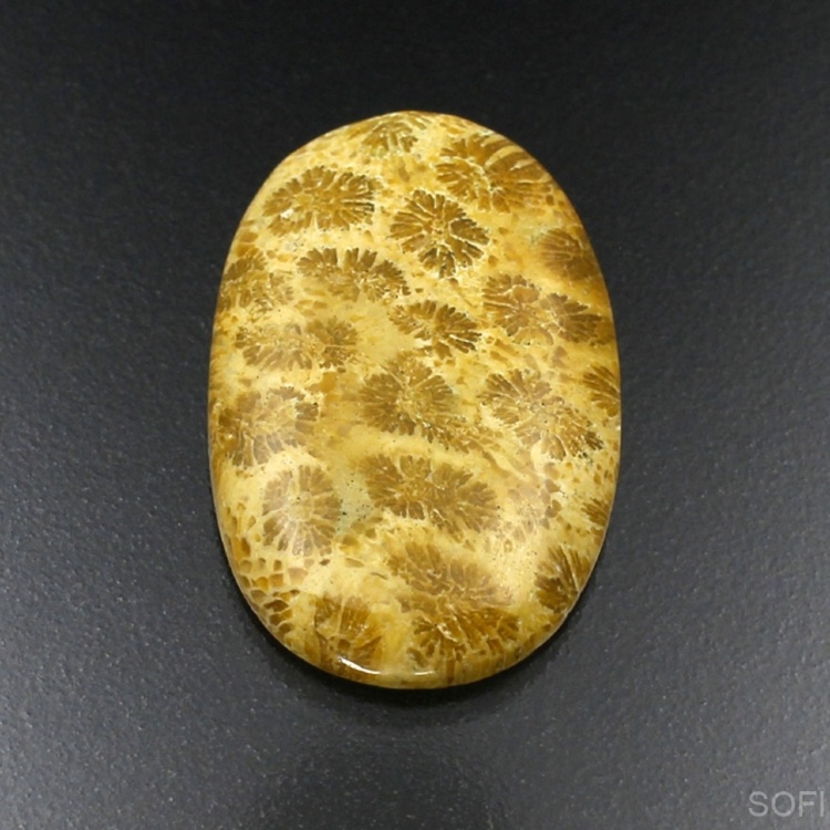 Камень агатизированный Коралл натуральный 30.15 карат арт 26471