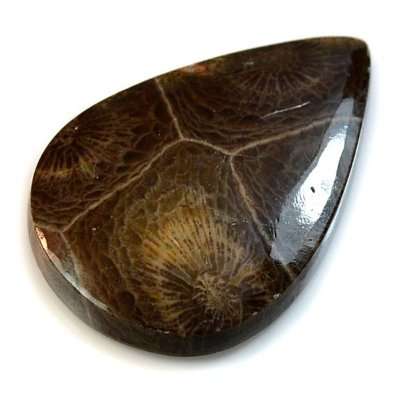  Камень агатизированный Коралл натуральный 24.00 карат арт. 9725