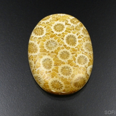 Камень агатизированный Коралл натуральный 32.25 карат арт 26433