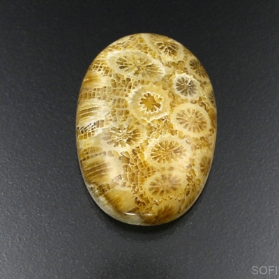 Камень агатизированный Коралл натуральный 35.05 карат арт 19245
