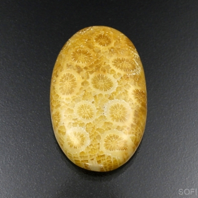 Камень агатизированный Коралл натуральный 35.55 карат арт 25647