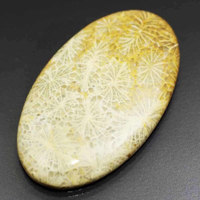  Камень агатизированный Коралл натуральный 66.00 карат арт. 16085