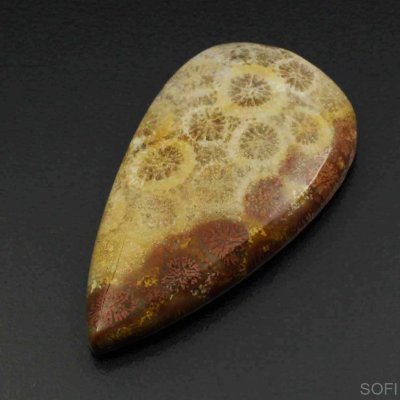  Камень агатизированный Коралл натуральный 28.00 карат арт 9988