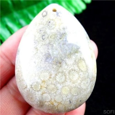  Камень агатизированный Коралл натуральный 92.60 карат арт 17123