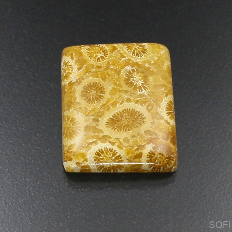 Камень агатизированный Коралл натуральный 19.40 карат арт 19900